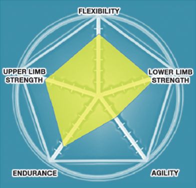 The assessment of overall personal physical fitness is based on body composition, physical strength and endurance, cardiovascular endurance, flexibility and agility.