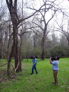 TV reporters film the tree where Otis Byrd was found hanging in Clairborne County. Photo: TNS