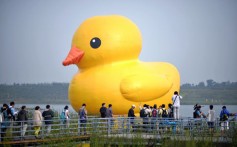 Visitors view the giant Rubber Duck on a lake at the Garden Expo Park in Beijing on Sunday. Photo: Xinhua