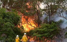 Fire Service volunteers in action at Catherine Hill Bay, New South Wales. Photo: EPA