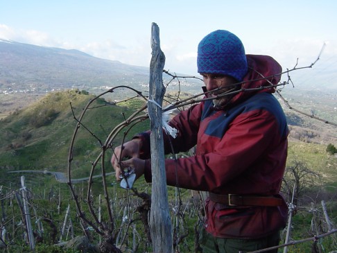 Winemaker Frank Cornelissen believes that man will never be able to fully understand nature's complexity and interactions.