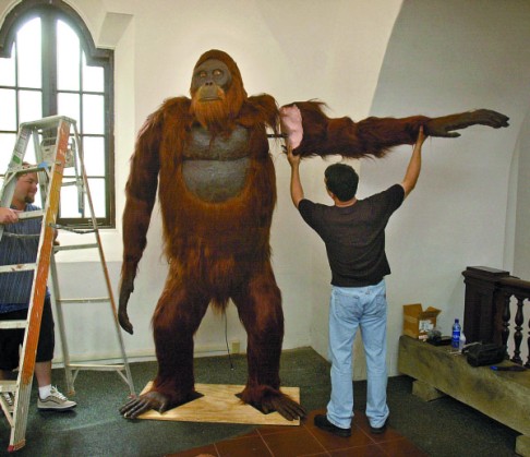 Gigantopithecus blacki, which was on display at the Museum of Man, in San Diego, until earlier this year