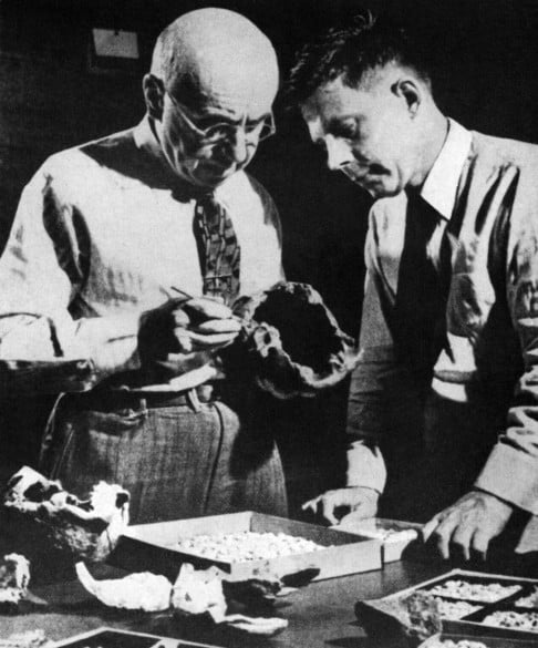 Palaeontologist Ralph von Koenigswald (right) with anatomist Franz Weidenreich.